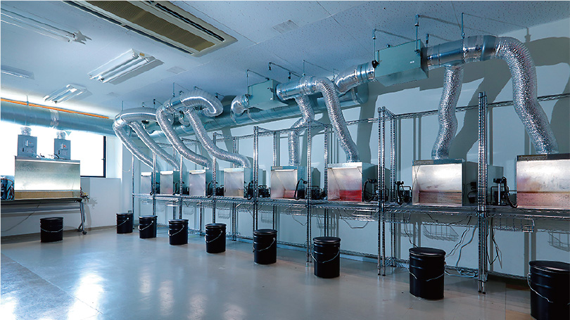 ネロブース（塗装）