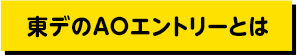 東デのAOエントリーとは