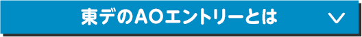 東デのAOエントリーとは