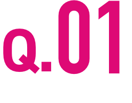 Q.01