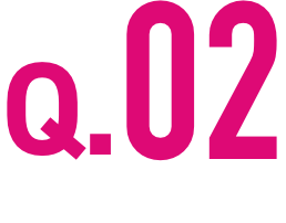 Q.02