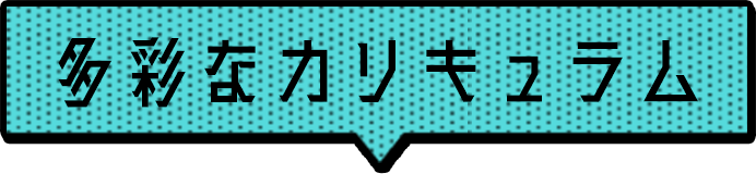 多彩なカリキュラム
